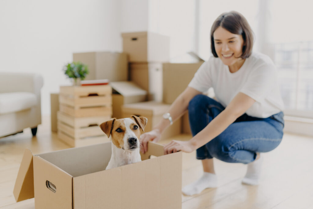 Moving Your Apartment with Pets